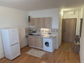 Podnájem modernizovaného bytu 1+1 36 m2, ul. O. Nedbala České Budějovice, cena 10000 CZK / objekt / měsíc, nabízí 
