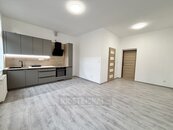 Pronájem 2+kk po rekonstrukci, 52 m2, ulice Riegrova, České Budějovice, cena 16000 CZK / objekt / měsíc, nabízí 