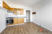 Pronájem, byty/1+1, 40 m2, Puklicova 1029/40, České Budějovice 3, 37004 České Budějovice, České Budě, cena 12000 CZK / objekt / měsíc, nabízí Realityspolu