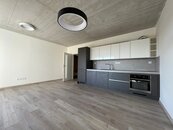 pronájem prostorného, částečně zařízeného bytu 1kk s balkonem, sklepem a garážovým stáním, O.Nedbala, cena 13000 CZK / objekt / měsíc, nabízí HANZLÍKOVÁ REALITY s.r.o.