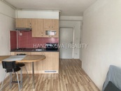 Pronájem zařízeného bytu 1+kk, Lipenská ul., cena 9000 CZK / objekt / měsíc, nabízí HANZLÍKOVÁ REALITY s.r.o.