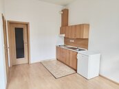 Pronájem bytu 1+kk (č.1), Riegrova ulice, cena 10000 CZK / objekt / měsíc, nabízí HANZLÍKOVÁ REALITY s.r.o.